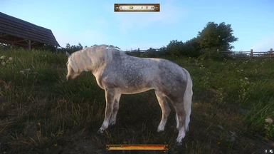 Pegasus is the Best Horse All White edition