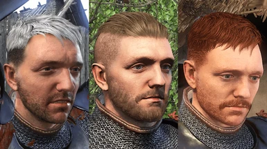 Henry's Hair Color Customization