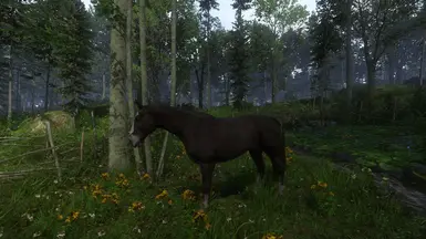Pebbles Black (Shadowmere) Maneless | Optional File: Just Pebbles (Maneless-Black)
