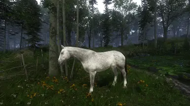 Pebbles White (Shadowfax) Maneless | Optional File: Just Pebbles (Maneless-White)