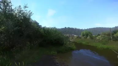 Vanilla - Before