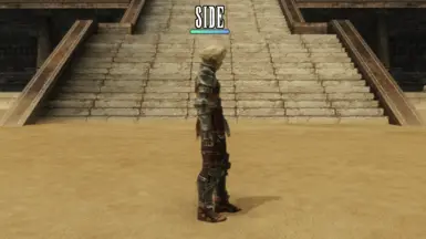 Vaan_Knight_Side