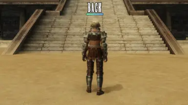 Vaan_Knight_Back