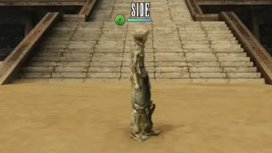 Vaan_King_Side