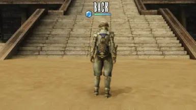 Vaan_King_Back