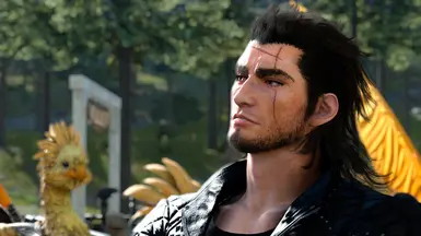 Gladio's scarred face texture oversight