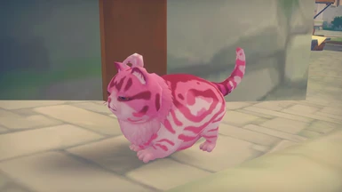 Pinky The Cat New Colors