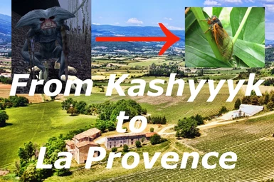 From Kashyyyk to La Provence