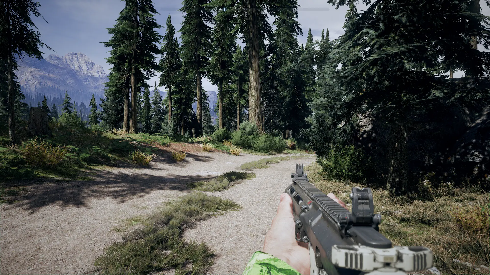 Far Cry 5 but ruined by mods 