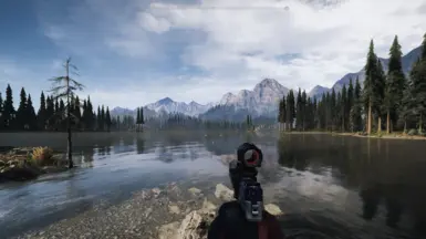Light Cinematic