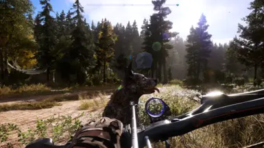 Better FC5