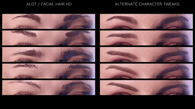 Female Eyebrows Comparison 2