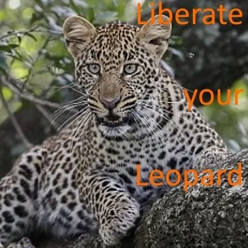 Leopard Liberation Start (Outdated)