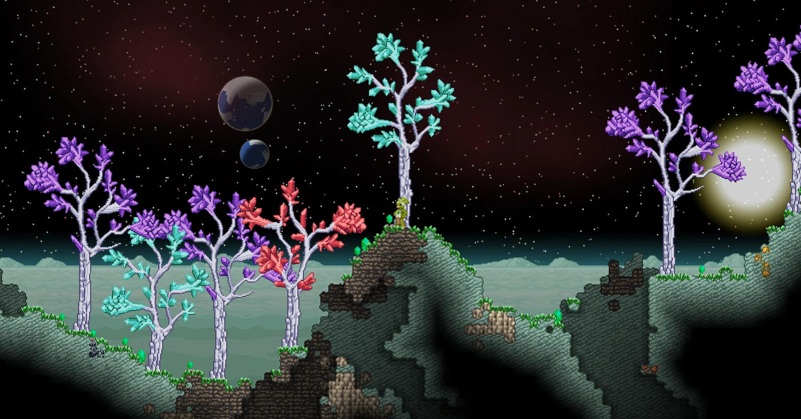 Surface forest terraria фото 68