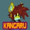 Kangaru Race