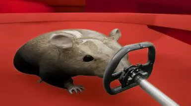 The the toilets also feature a driver. And what driver could it be other than this guy: