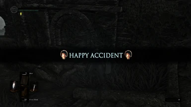 Happy Accident (DSR version)