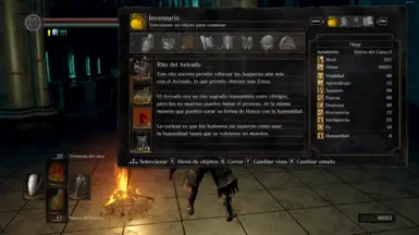 Dark Souls Remastered, después de instalar el mod.