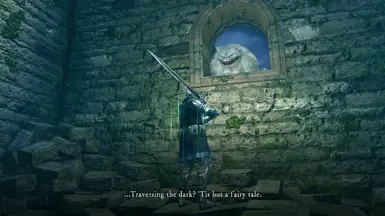 Darkroot Garden