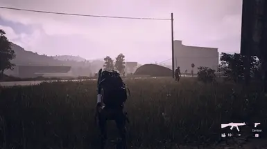 RDR