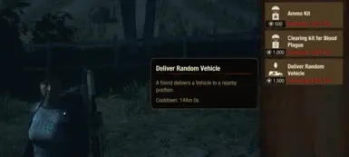 Radio Command Custom