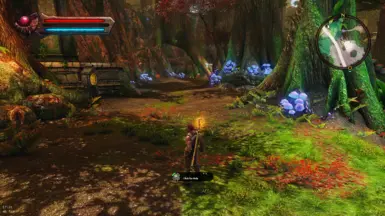 kingdoms of amalur reckoning mods and patches nexus mods