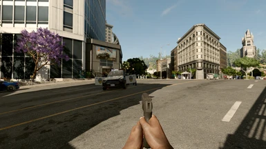First Person Camera