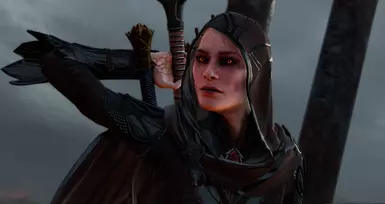 Wood Elf Armor