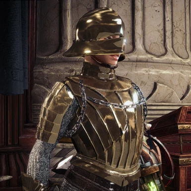 Fully colorable Plate Armor 1.3 with gilded edges