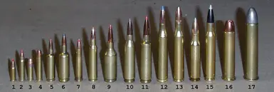 ALL bowgun and bow can use all ammo and coating plus or norm and rapid fire MOD last version support