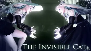 The Invisible Cat