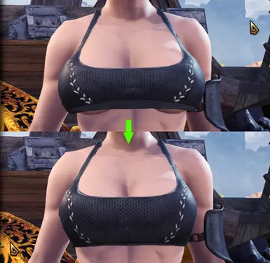 Version 2