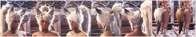 Profile shots + tipped fur examples.