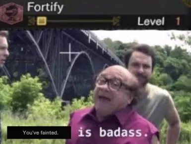 Fortify Buff Time Increase