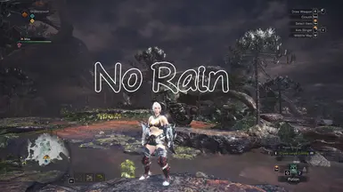 No Rain