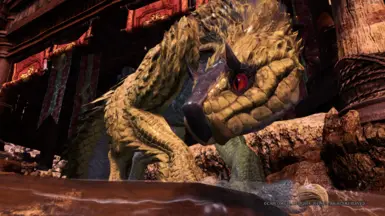 King ratsnake tobi kadachi