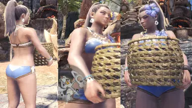 Sisterly Fourth - Summer Swimsuit (Post-Iceborne)