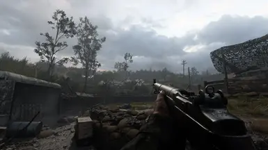 call of duty ww2 mods