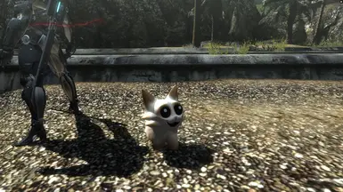 Car over Ninja Cat