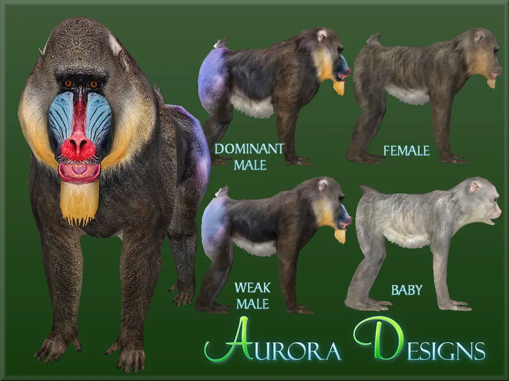 zoo tycoon 2 mods zeta designs