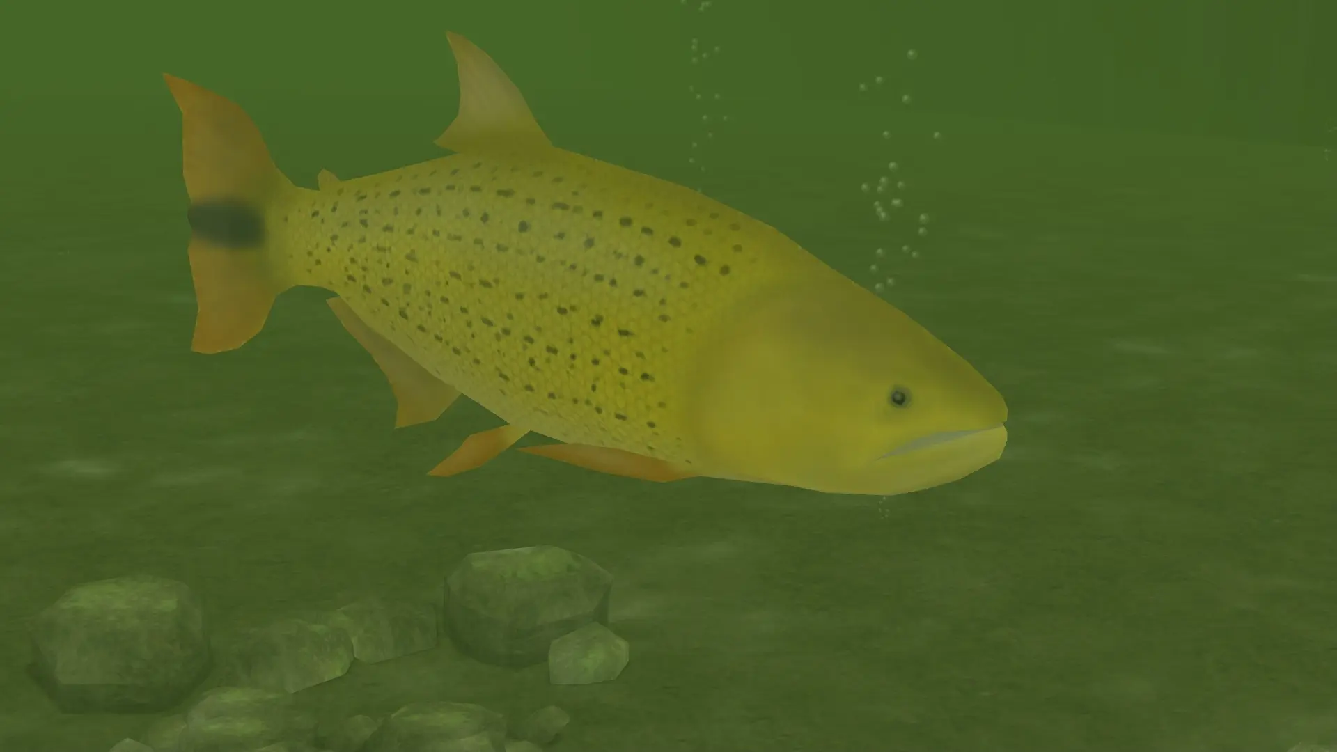 Freshwater Dorado (New Species) at Zoo Tycoon 2 Nexus - Mods and community