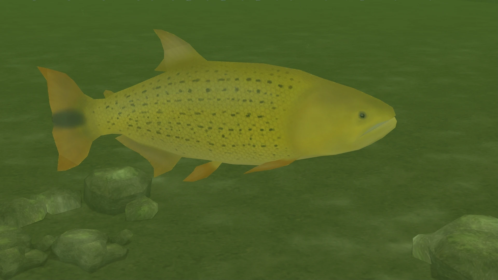 Freshwater Dorado (New Species) at Zoo Tycoon 2 Nexus - Mods and community