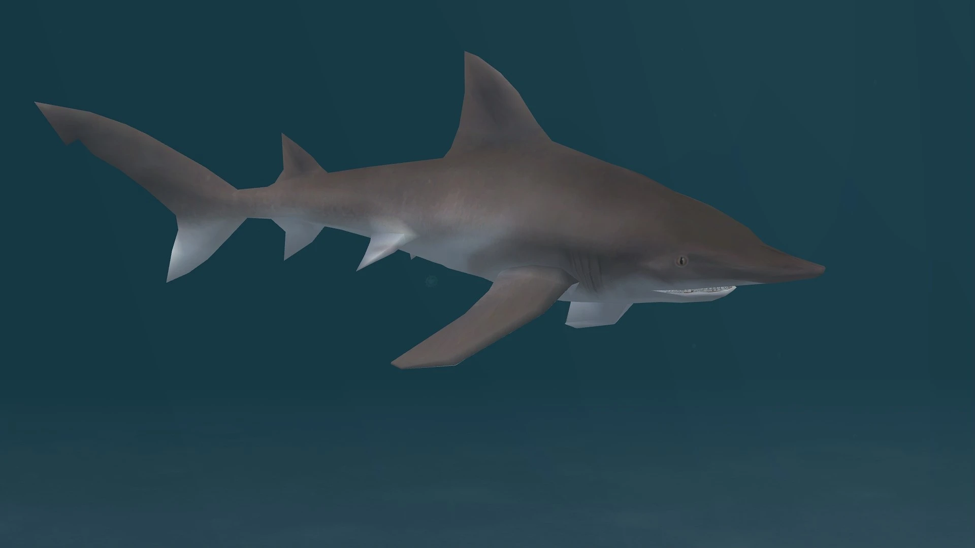 Daggernose Shark (New Species) at Zoo Tycoon 2 Nexus - Mods and community