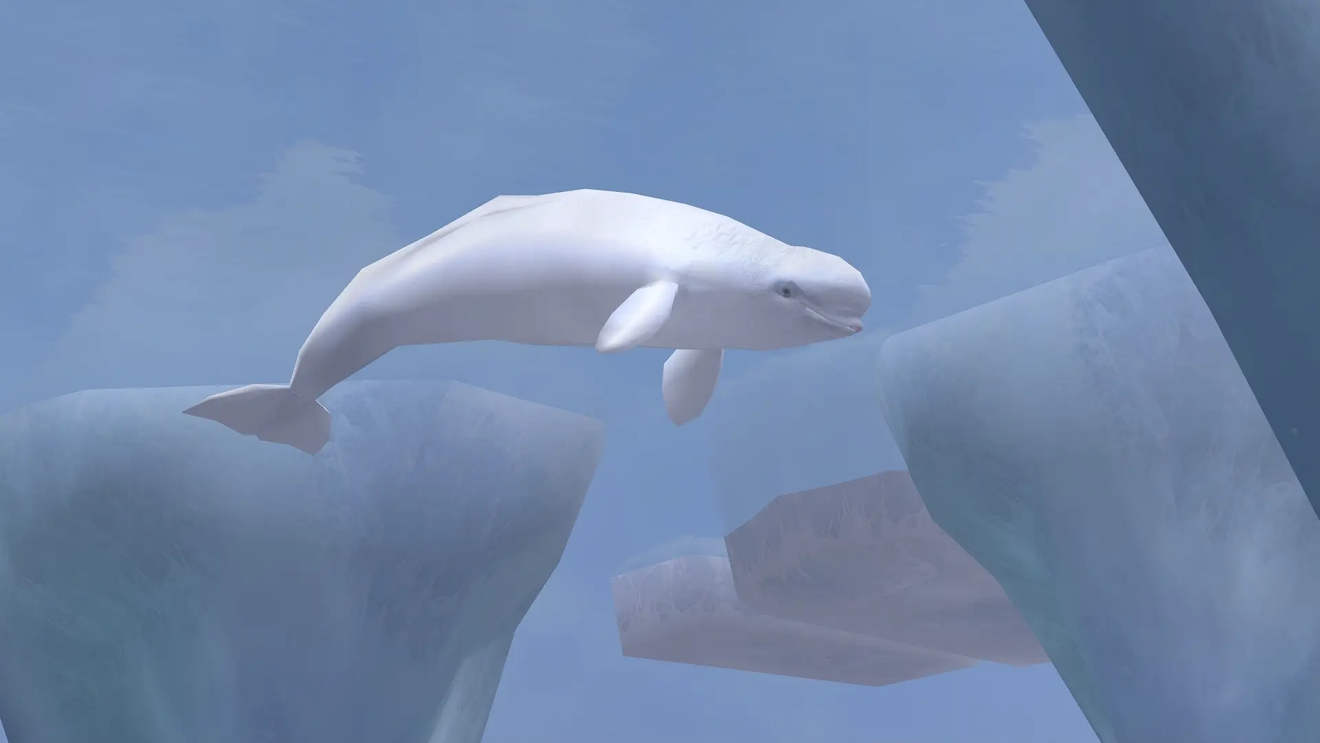 Beluga (Remaster) at Zoo Tycoon 2 Nexus - Mods and community