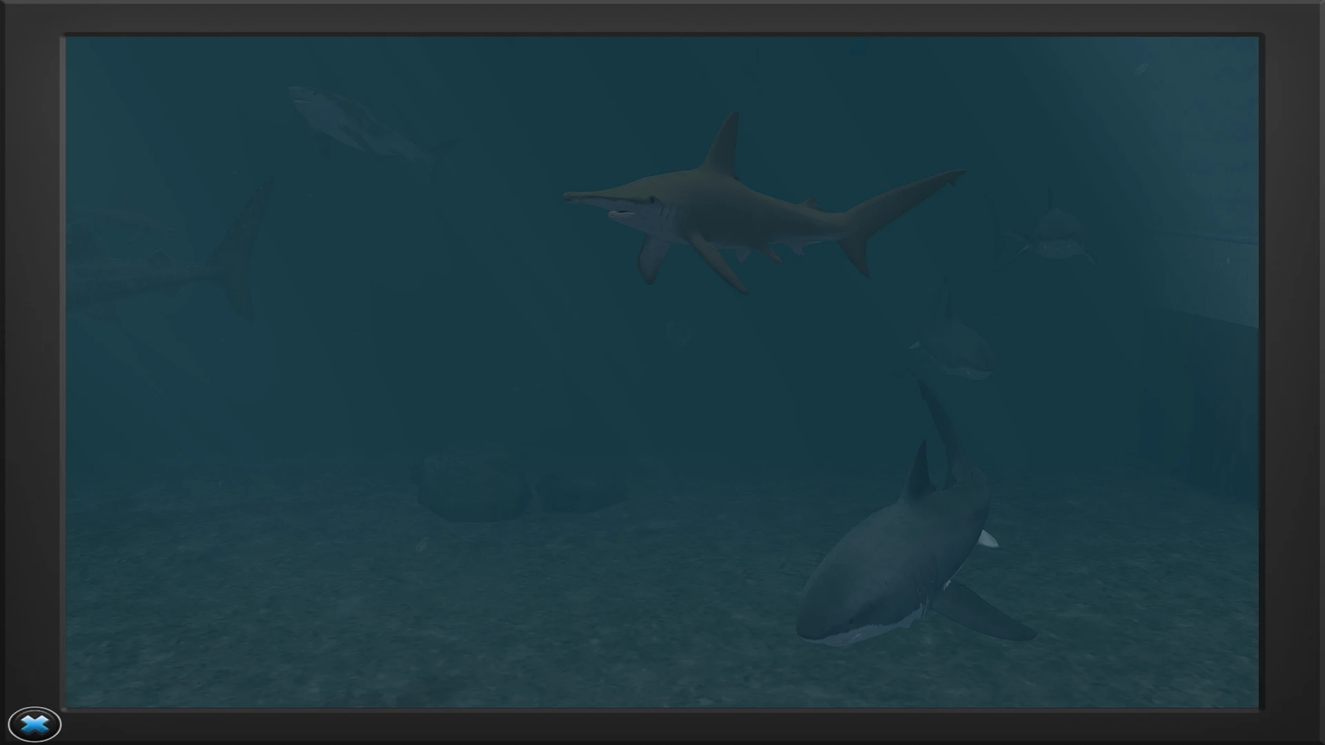 Scalloped Hammerhead Shark (Realistic) at Zoo Tycoon 2 Nexus Mods and