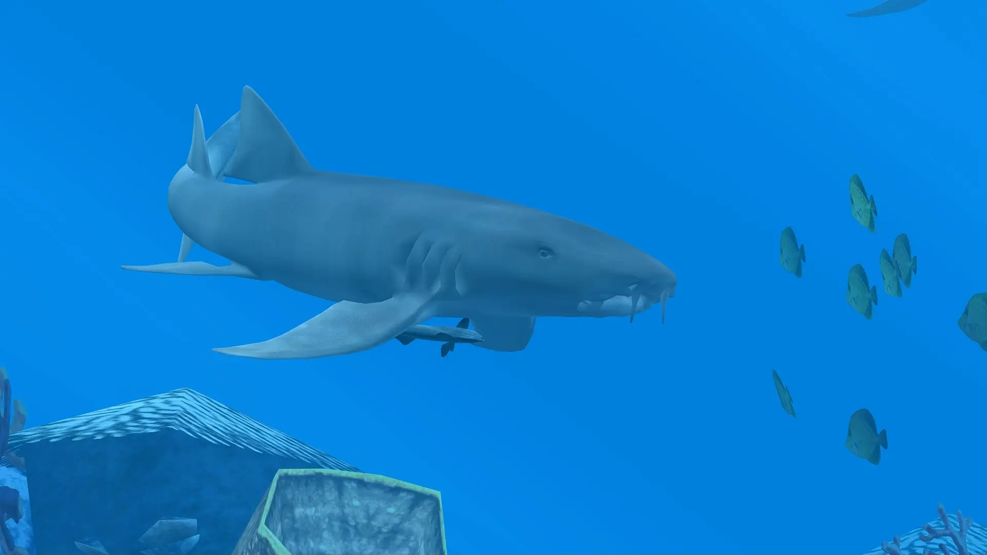 Tawny Nurse Shark (PZ Asia Fish Pack) at Zoo Tycoon 2 Nexus - Mods and ...