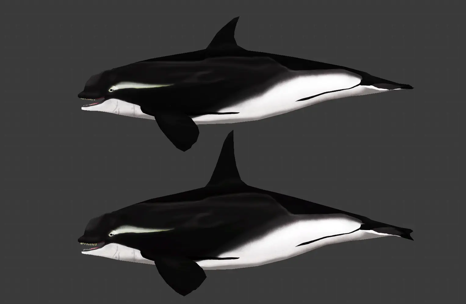 Killer Whale (New Species) at Zoo Tycoon 2 Nexus - Mods and community