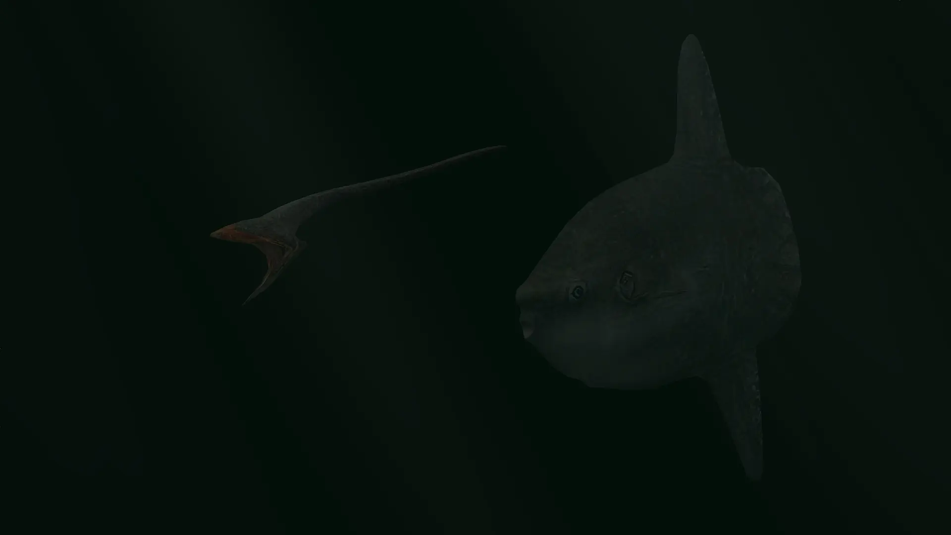 Deep Sea Pack At Zoo Tycoon 2 Nexus - Mods And Community