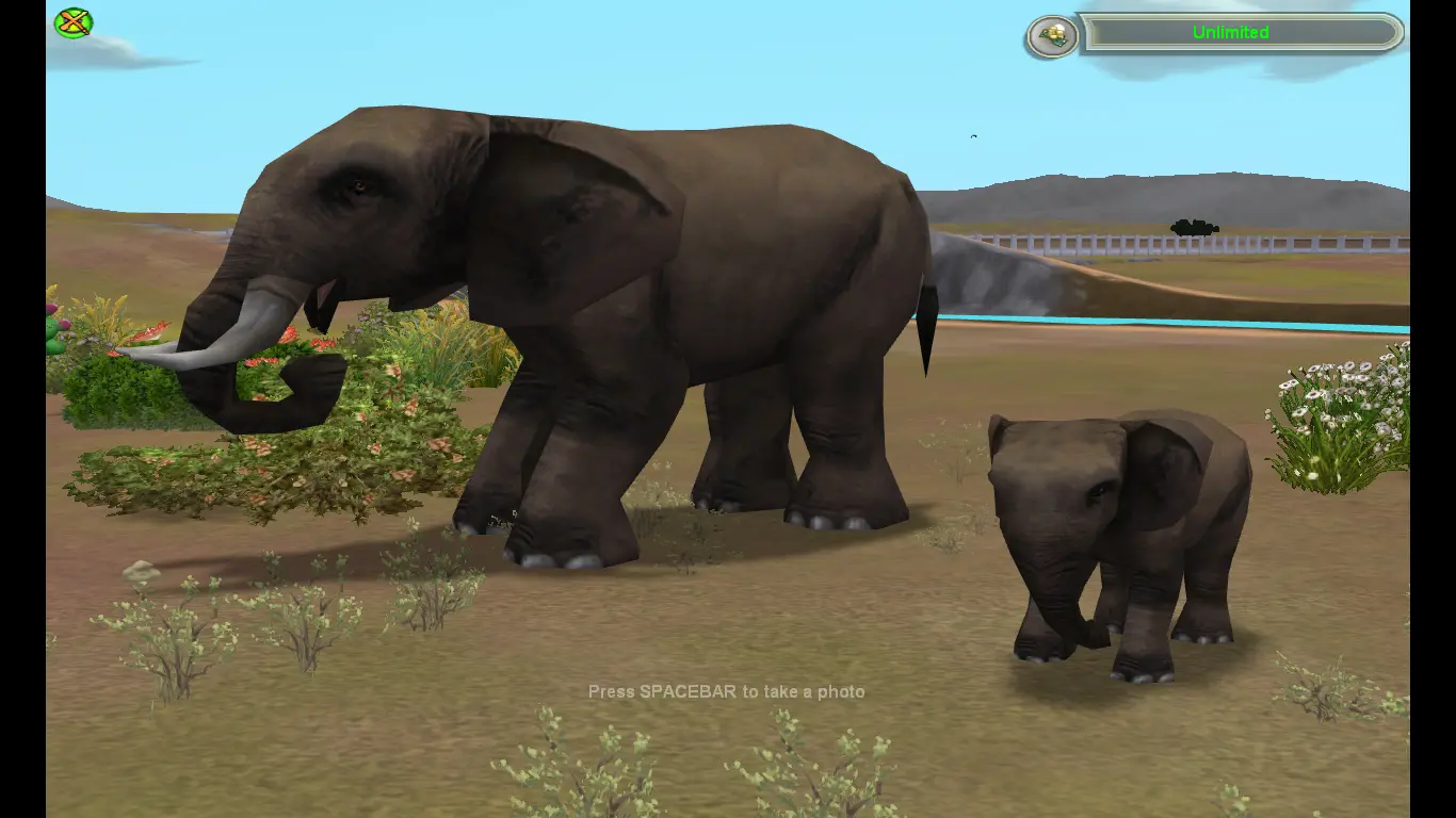 North African Elephant at Zoo Tycoon 2 Nexus - Mods and community