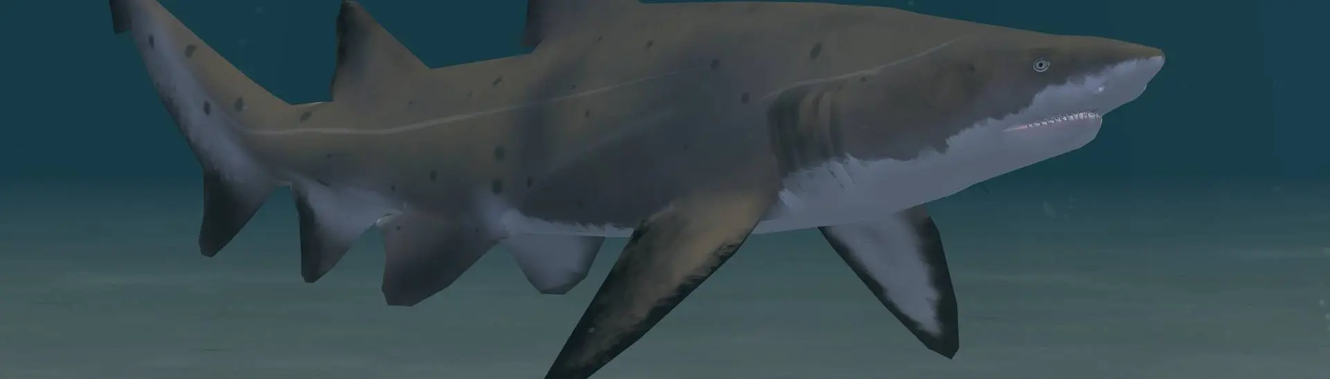 Sand Tiger Shark (New Species) - Oceanic at Zoo Tycoon 2 Nexus - Mods ...